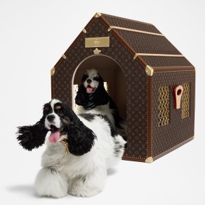 Kennel Trunk Louis Vuitton